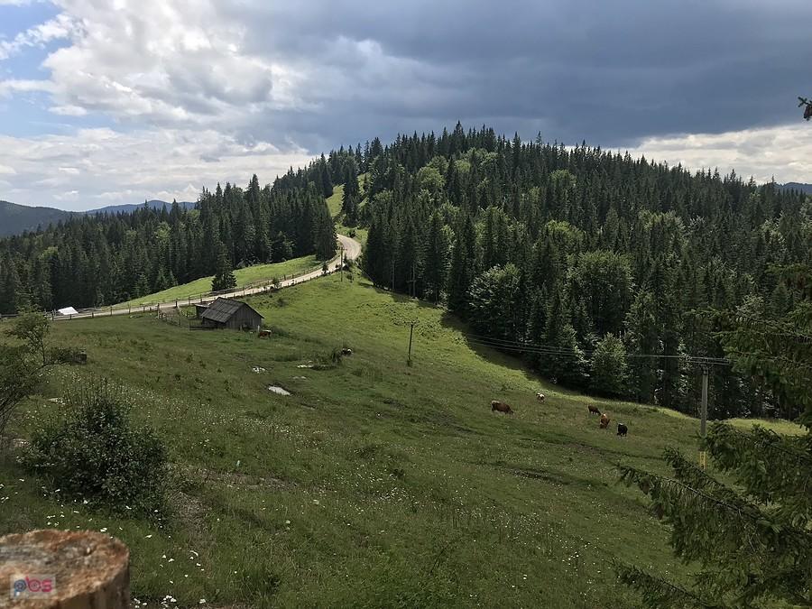 z wycieczki górskiej