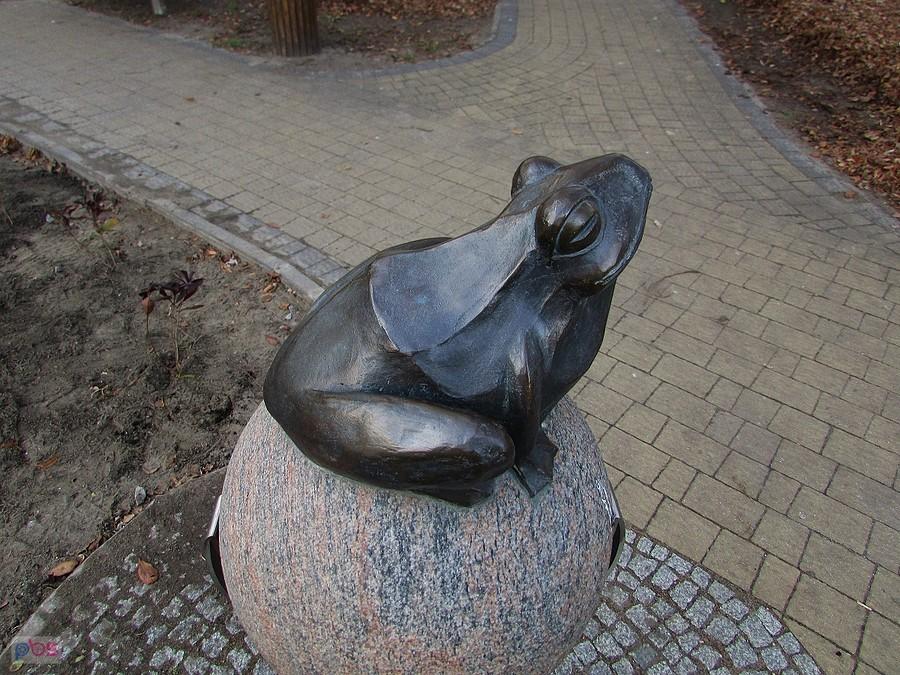 Żabka ze skweru Apfelbauma