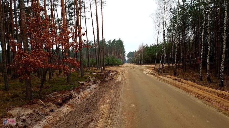 Remontowana leśna droga do Zdunowa
