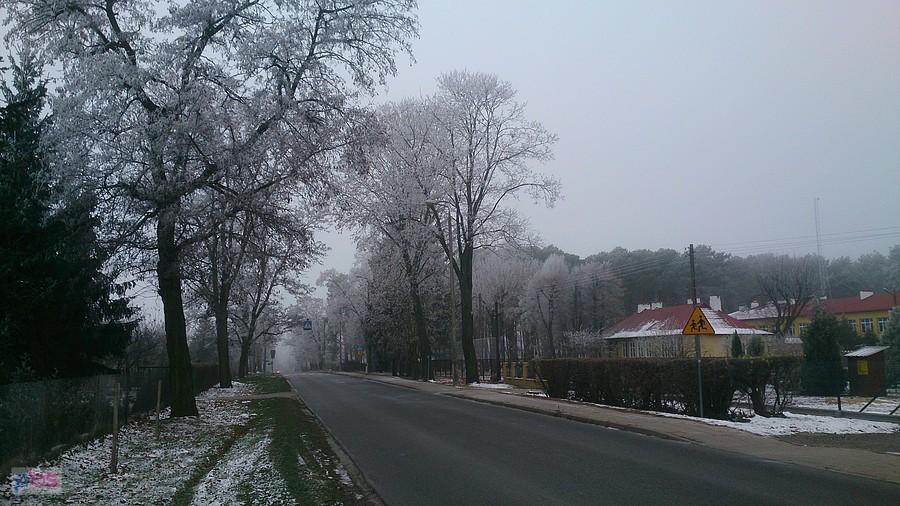Droga na Strzyżewice