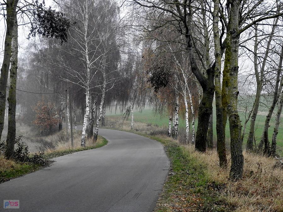 Fragment drogi Blankensee - Bismark.