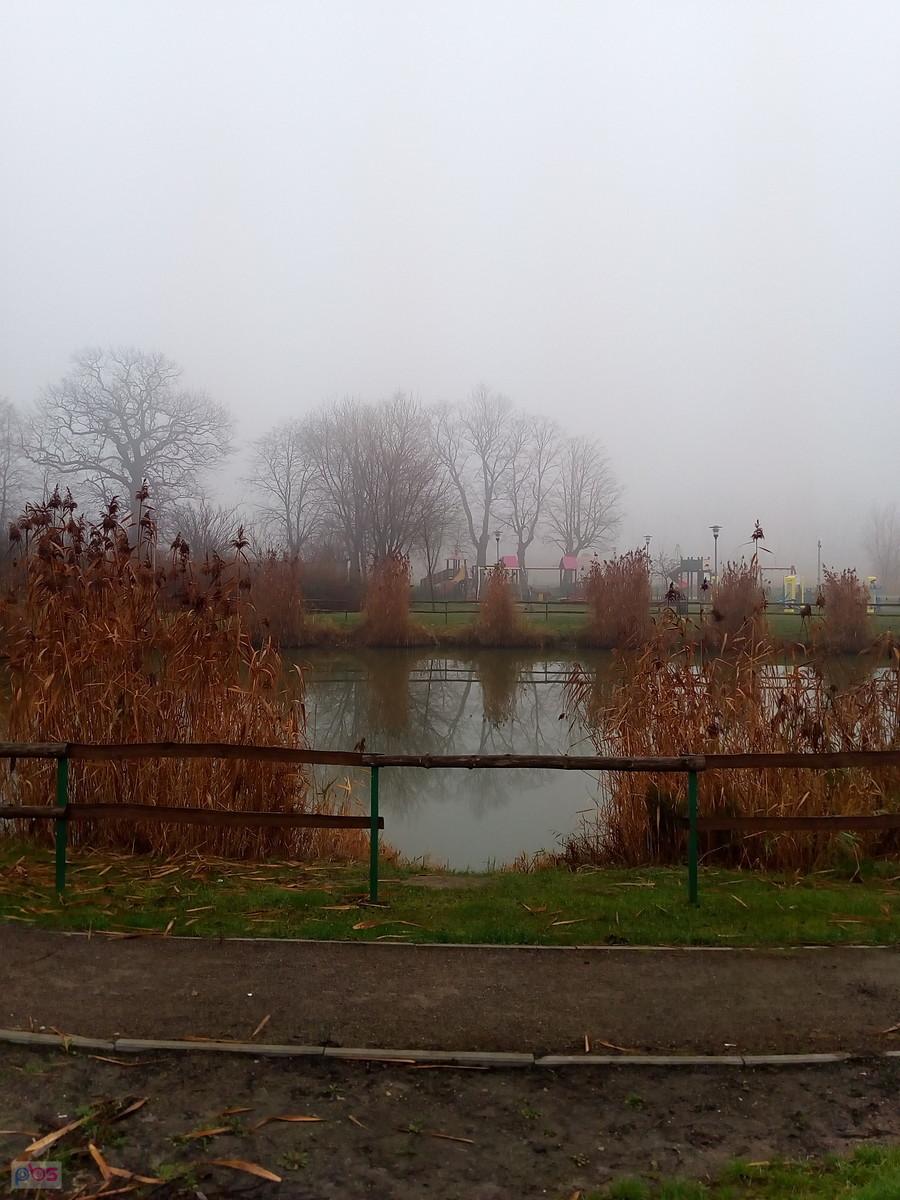 Staw w Borzęcinie