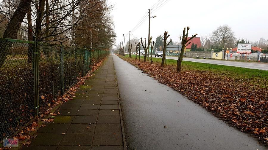 Ścieżka rowerowa w Zieleniewie