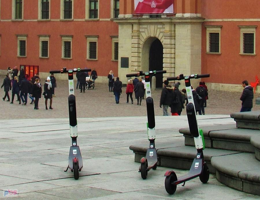 Cytrynki do wzięcia