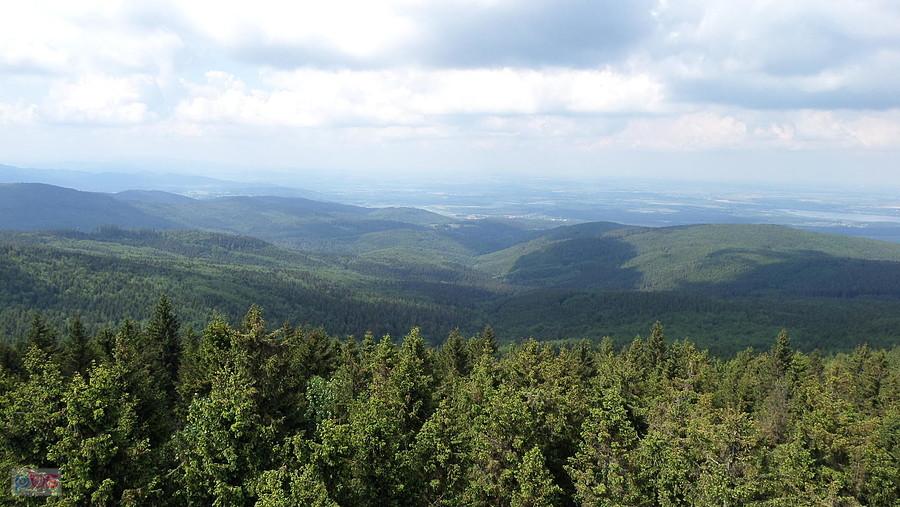 Widok z Borówkowej