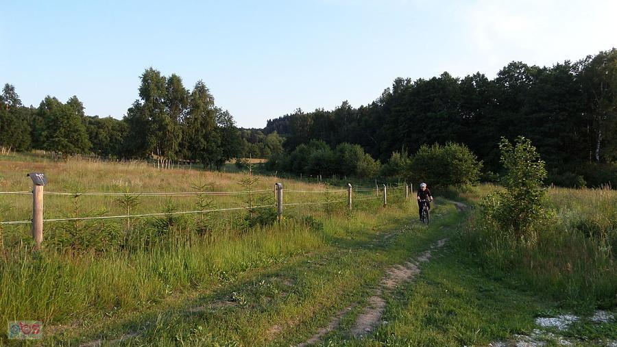 Lądek i szukanie kapliczki