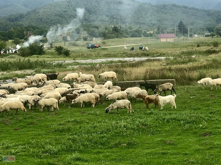 a dali nasze obozowisko