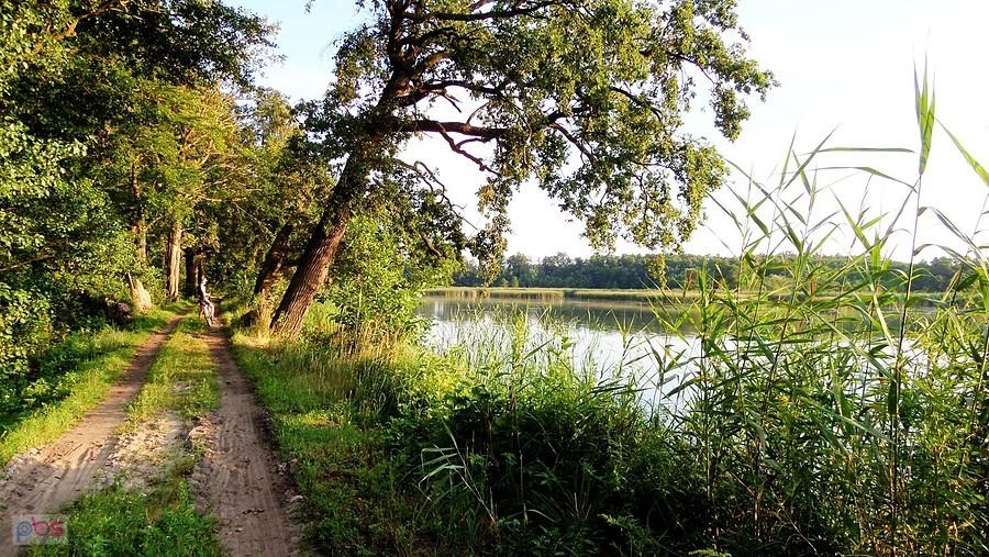 Trasa między jeziorami, klimaty przepiękne