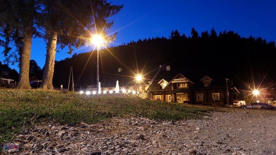 Puchaczówka nocą