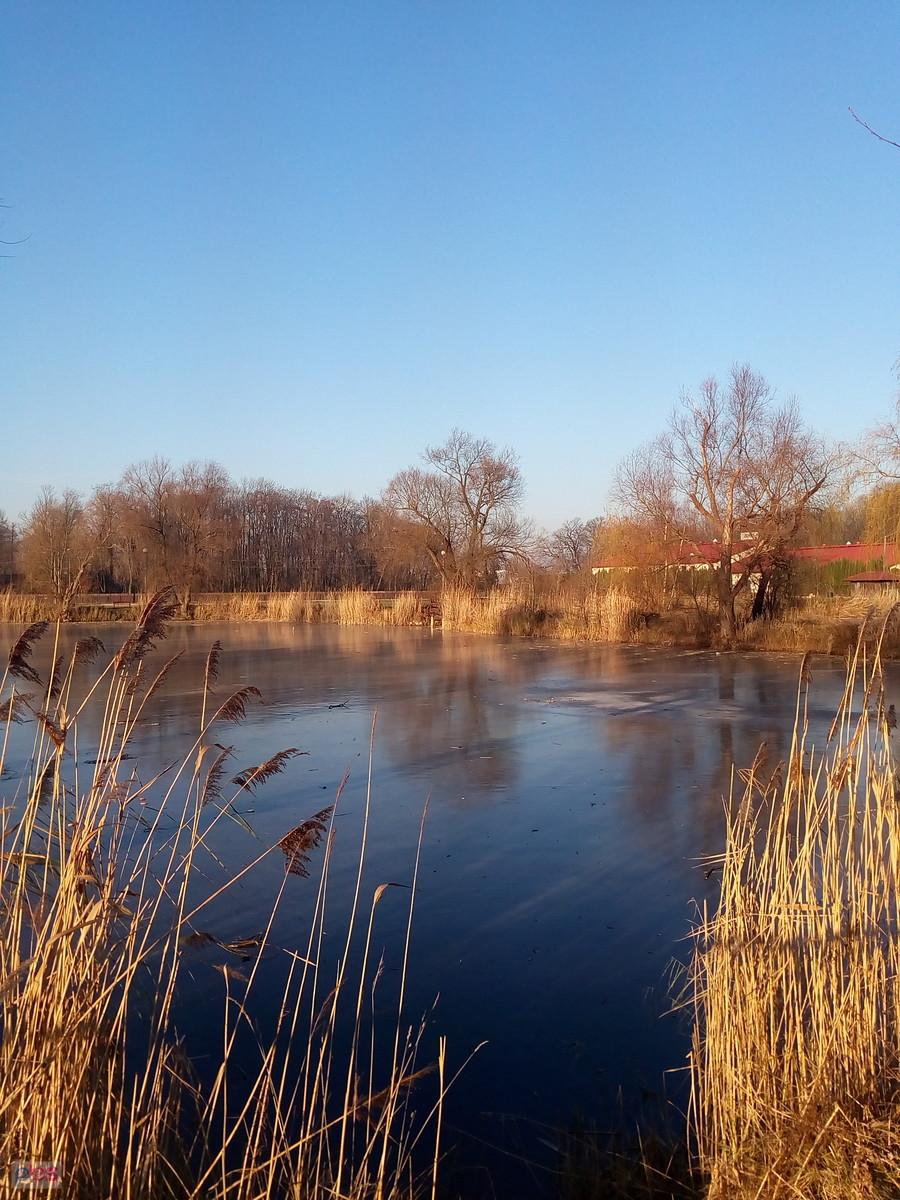 Zamarzający staw w Zielonkach