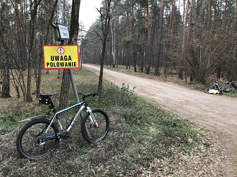 Uwaga polowanie! my i tak jedziemy dalej....