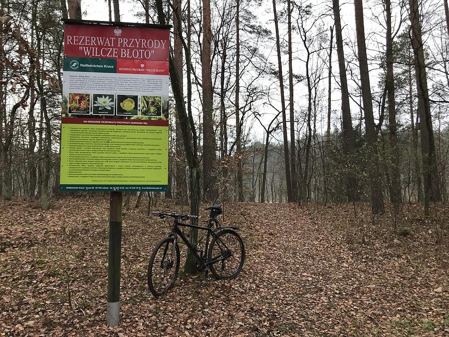Rezerwat Wilcze Błoto