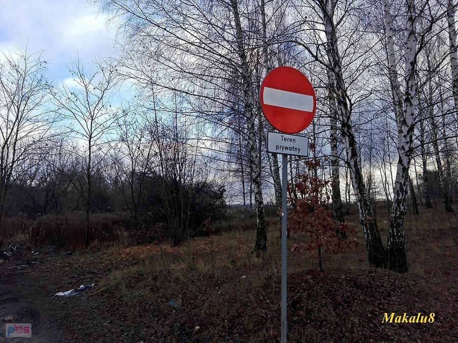 Rozkówka od strony Madery