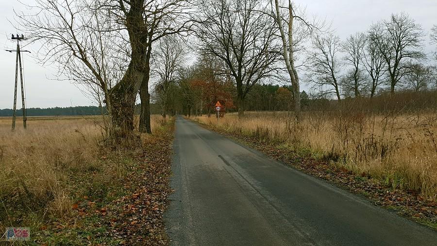 Droga Wielichówko - Cisewo