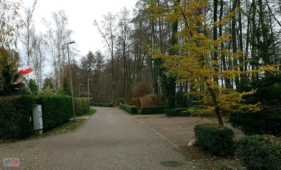 Promenada nad jeziorem Miedwie