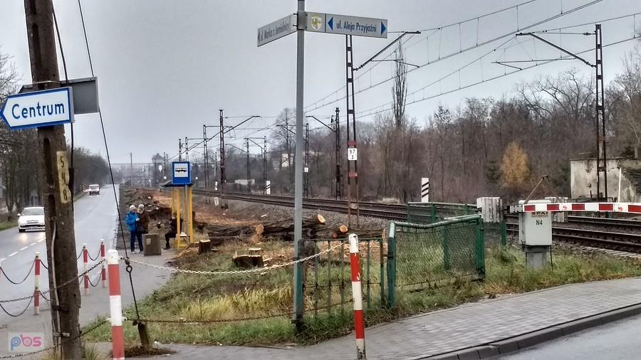 PKP zrobiło porządek z drzewami..... smutne...
