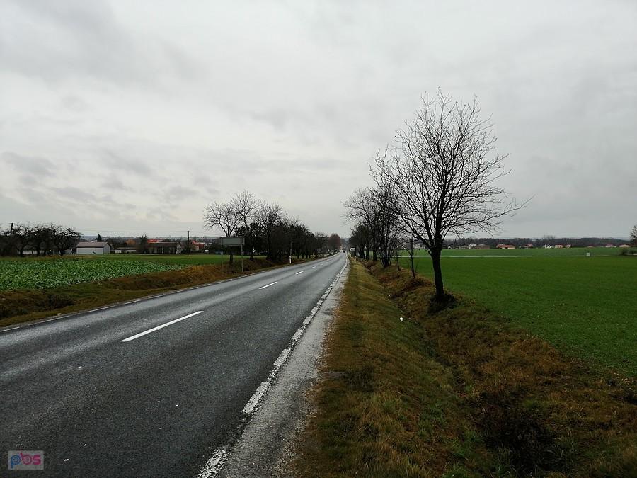 Droga na Niedrzwicę Dużą