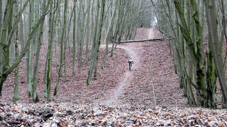 Grudniowe pure MTB w WPN :)