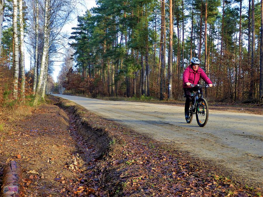 Jesień na rowerze - okolice Tczewa.