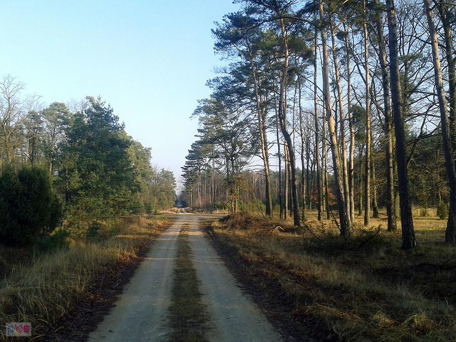Dojazd do pożarowej