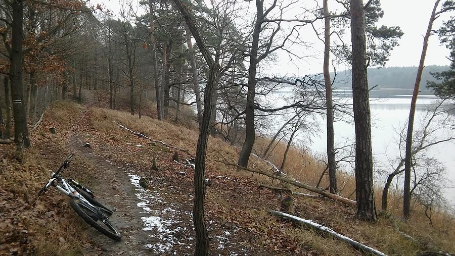 Na czarnym dymaczewskim. Tylko pomykać tędy na MTB