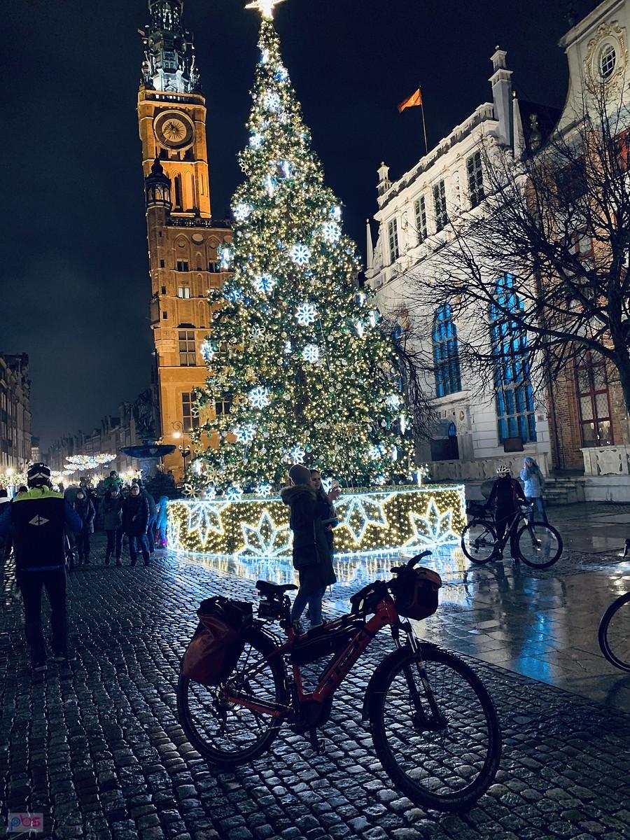 choinka na długiej