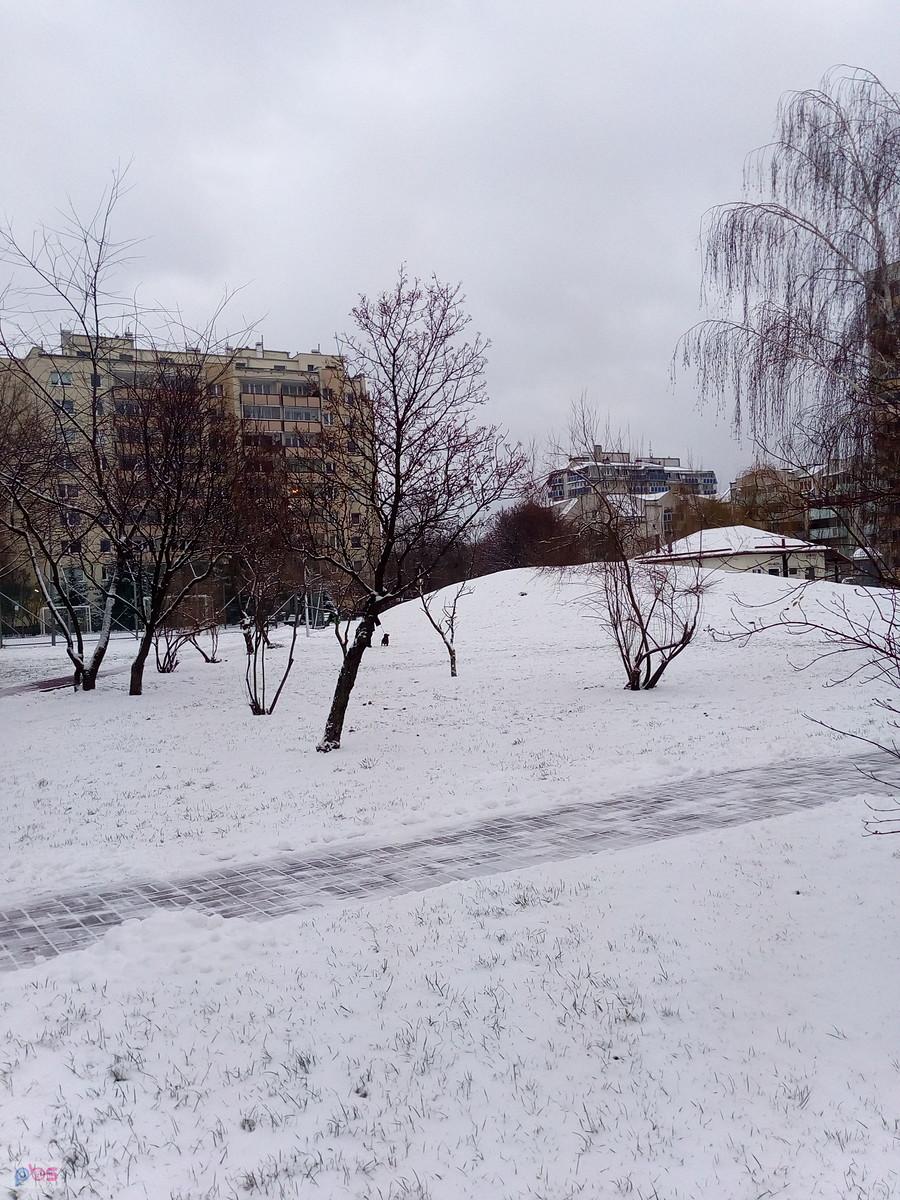 W nocy spadło trochę śniegu