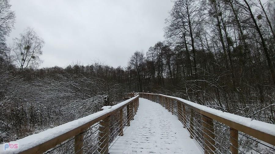 Molo nad bagnami. W Truskawiu jest o wiele fajniejsze...
