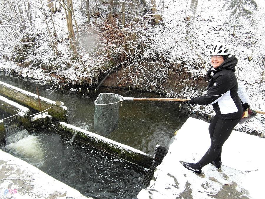 Gospodarstwo Rybackie Boroszewo