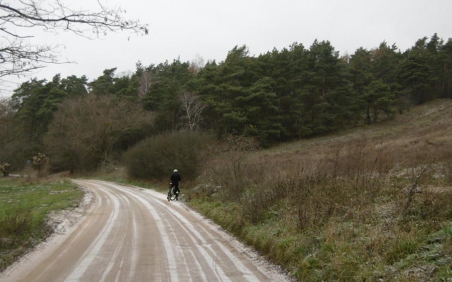 Urokliwy terenik z fałdkami też był