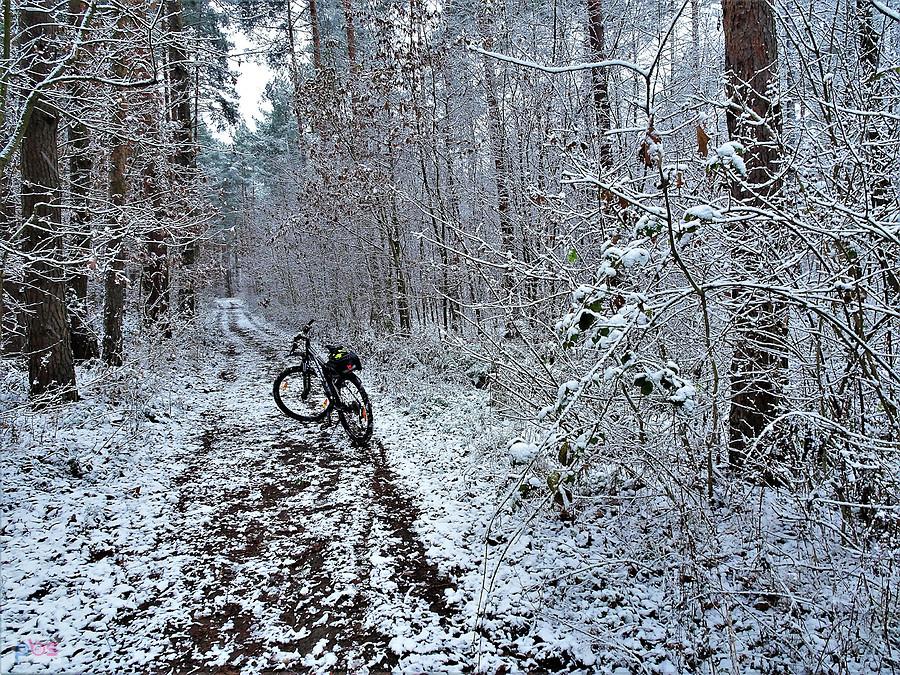 Rowerem po okolicy Tczewa - zimowe klimaty.