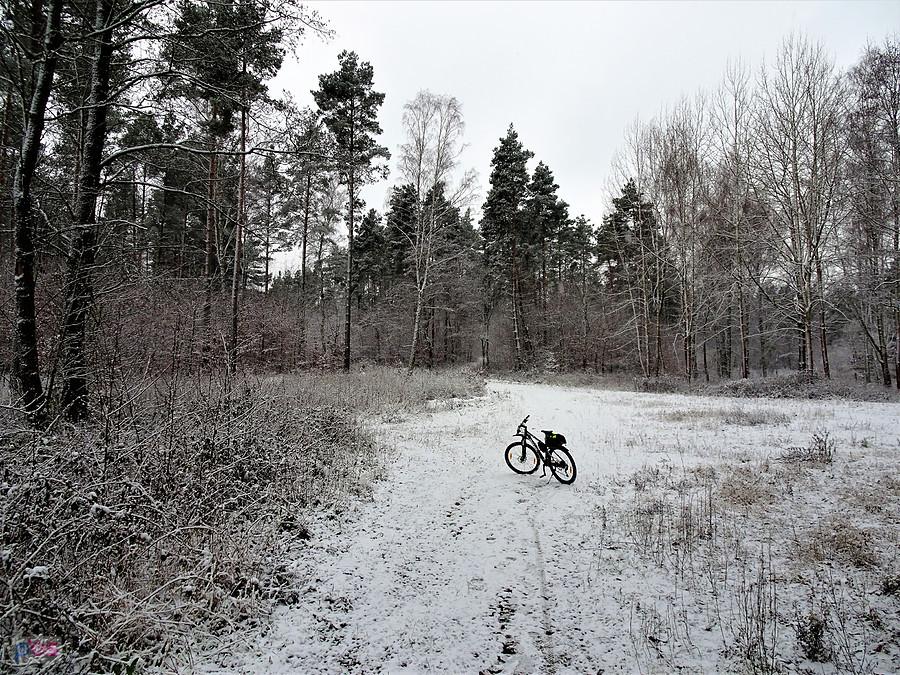 Rowerem po okolicy Tczewa - zimowe klimaty.