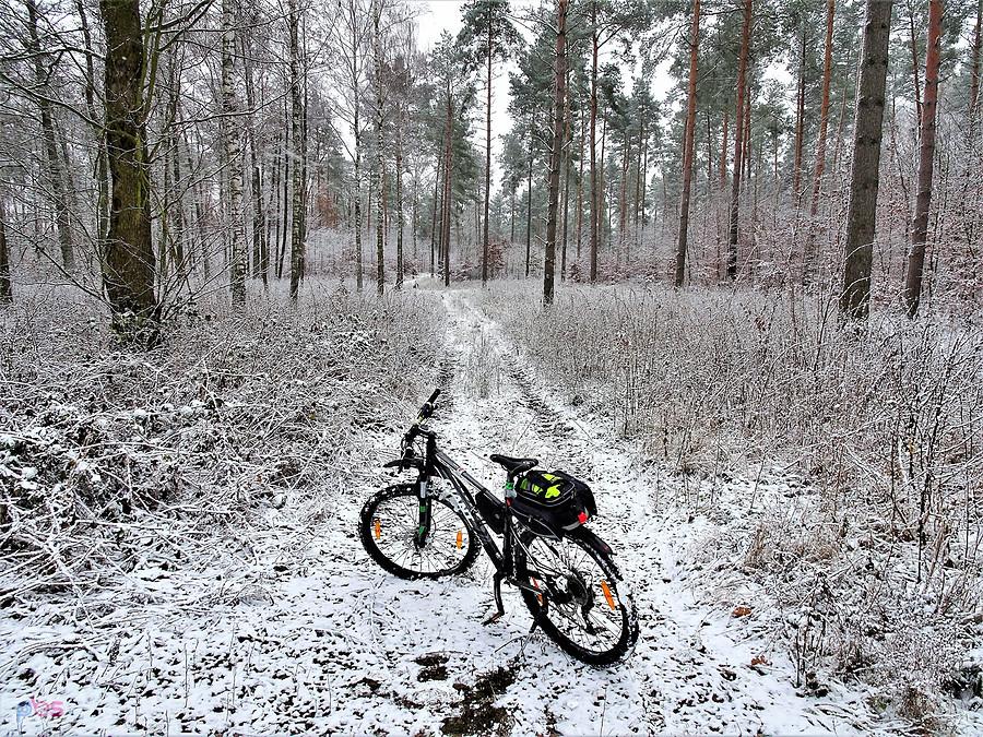 Rowerem po okolicy Tczewa - zimowe klimaty.