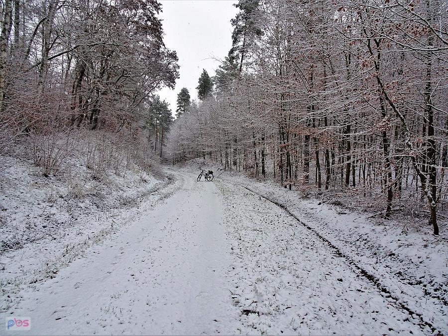 Rowerem po okolicy Tczewa - zimowe klimaty.