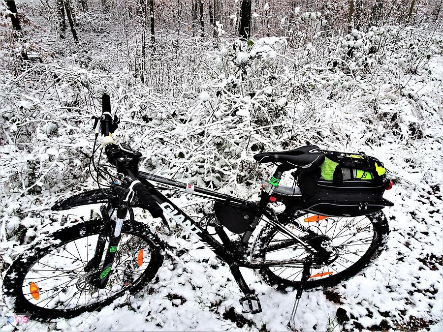 Rowerem po okolicy Tczewa - zimowe klimaty.