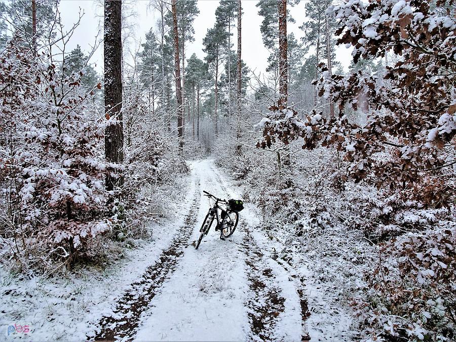Rowerem po okolicy Tczewa - zimowe klimaty.