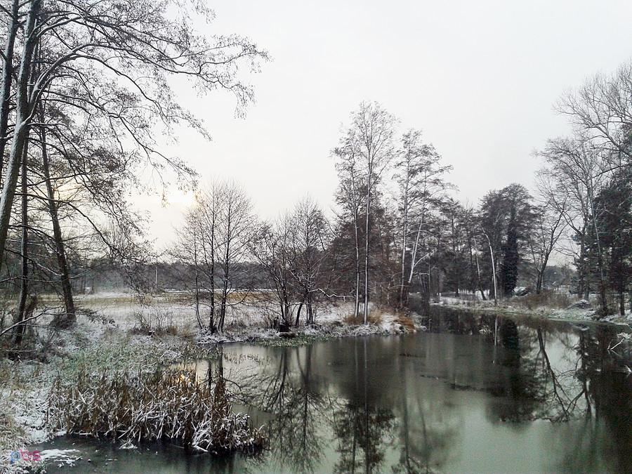 Siekirnik, Spycimierz (most)