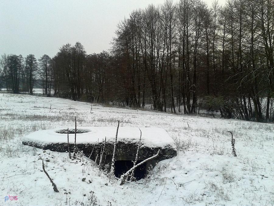 W przyzwoitym stanie