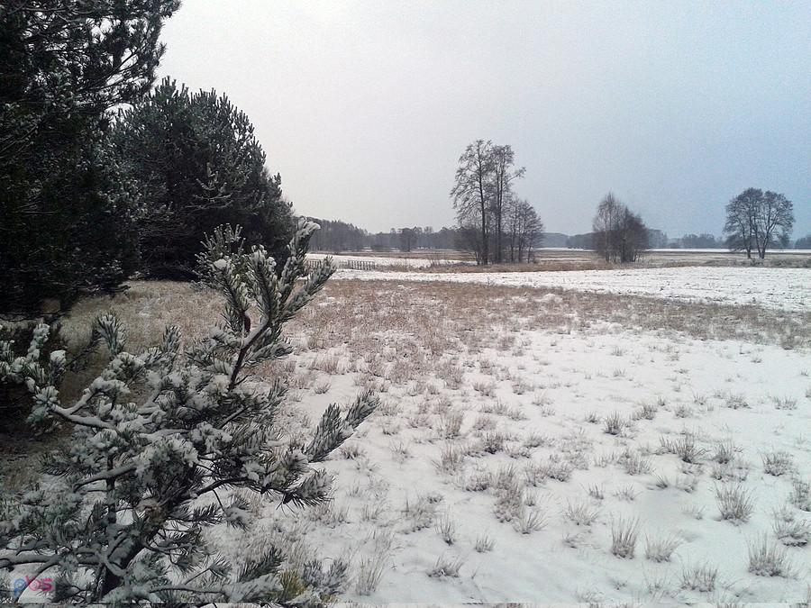Na skraju zagajnika
