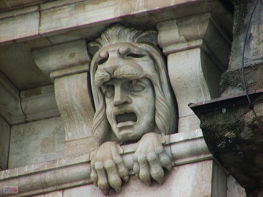 Kamienica Cedergrenu