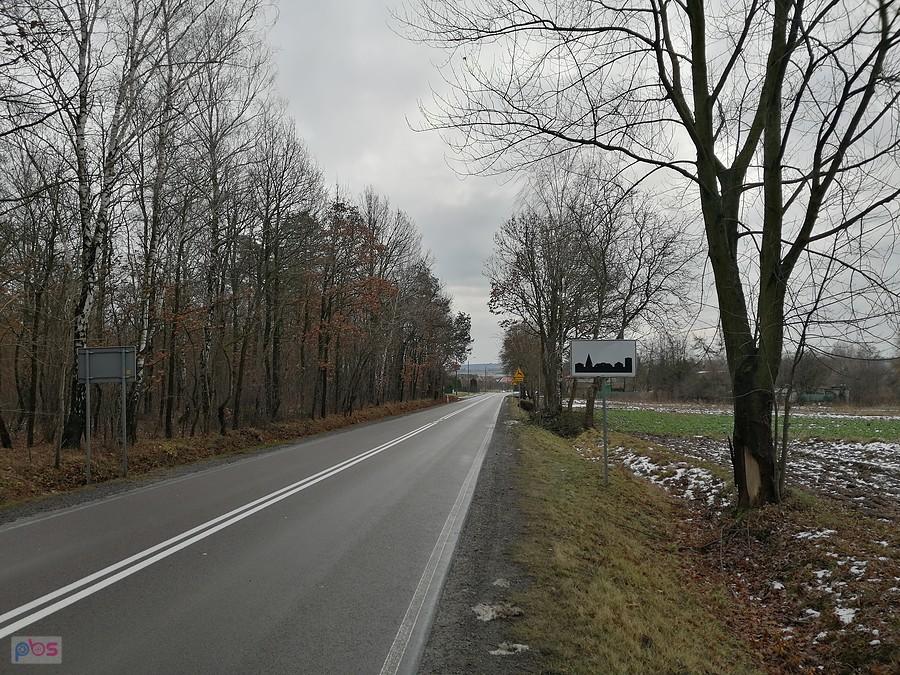 Droga w kierunku Strzyżewic