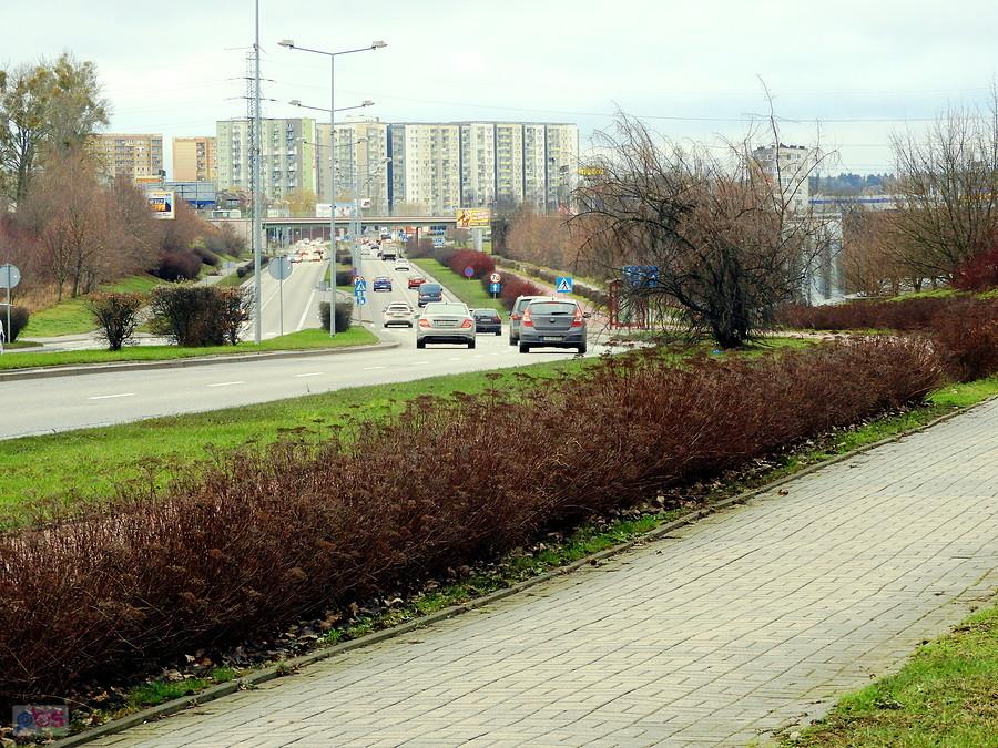 Lubię widok spod ronda Hakena w kierunku miasta.