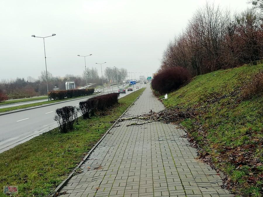 Jakiś psychol systematycznie zastawia gałęziami ścieżkę rowerową na ulicy Południowej.