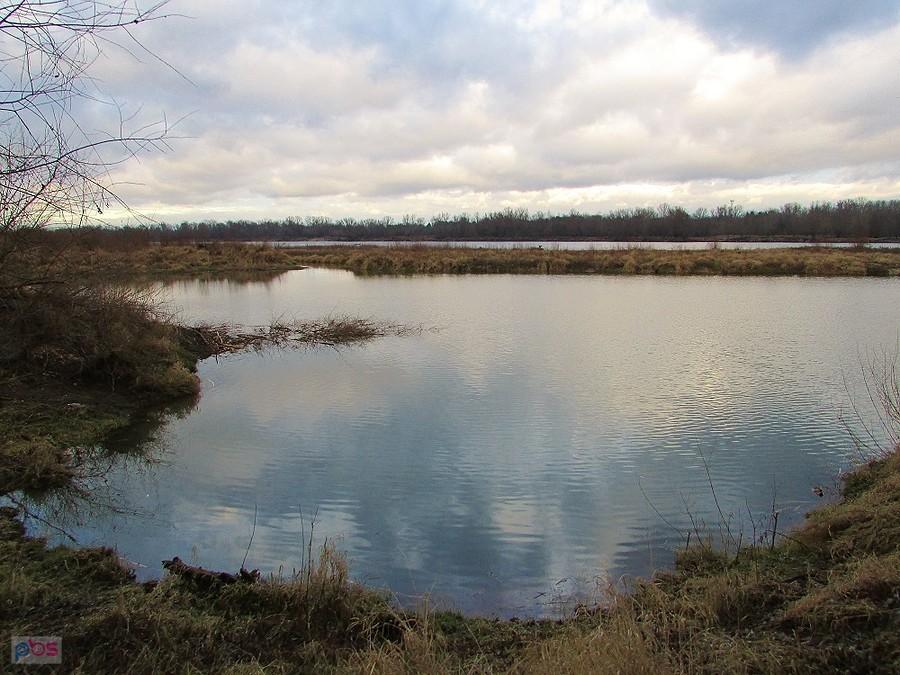 Rozlewiska nad Wisłą