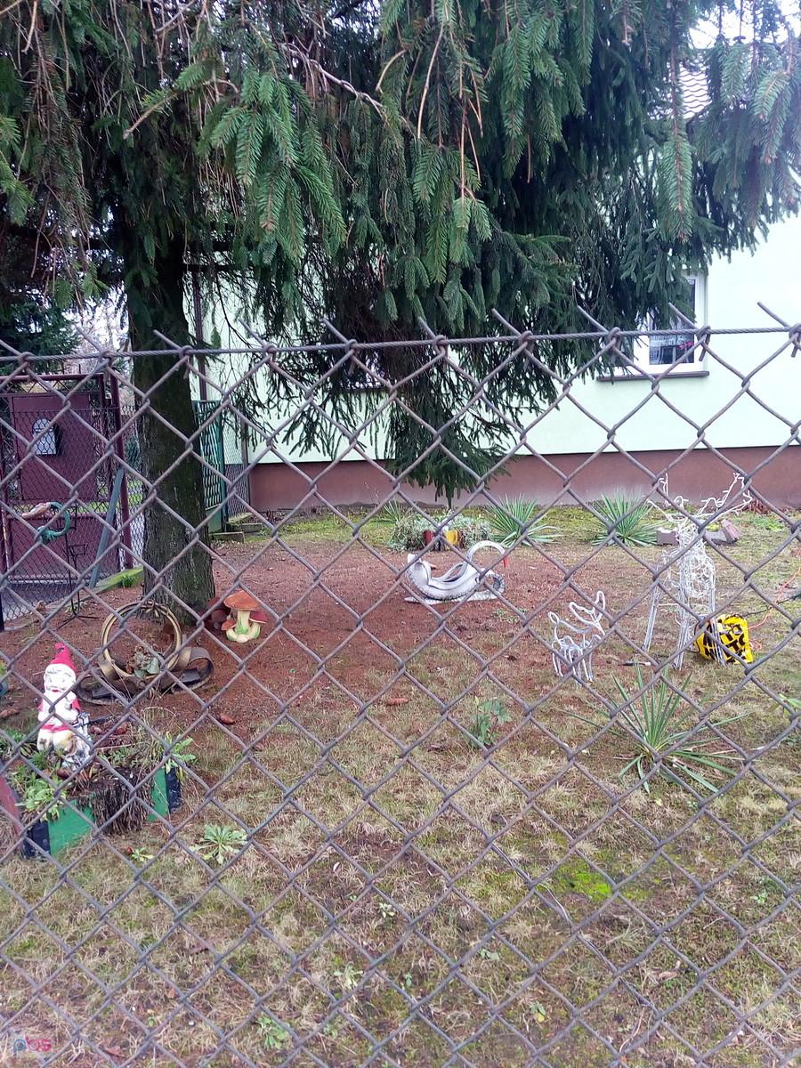 Jak zimą był śnieg, w tym obejściu stały jeszcze dwa bałwanki