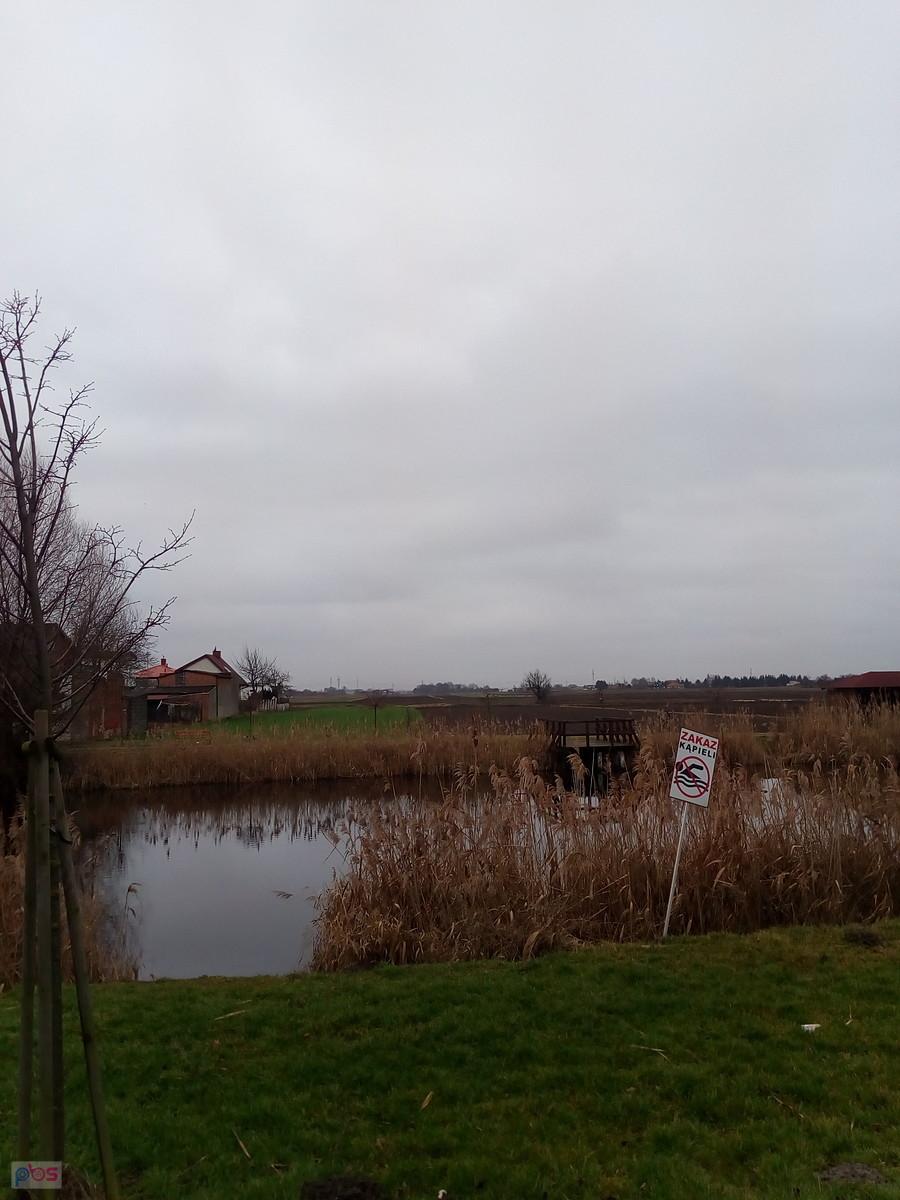 Staw przy Warszawskiej