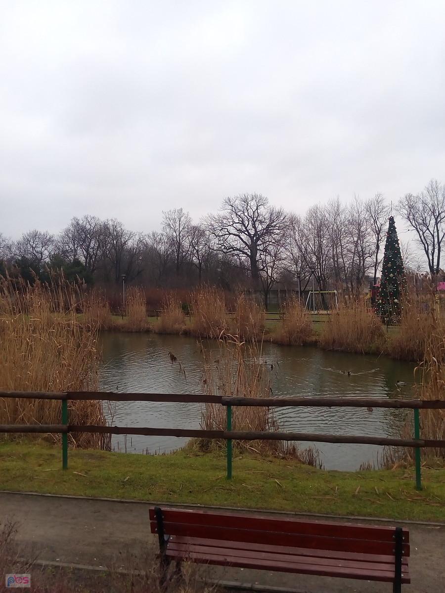 Staw w Borzęcinie