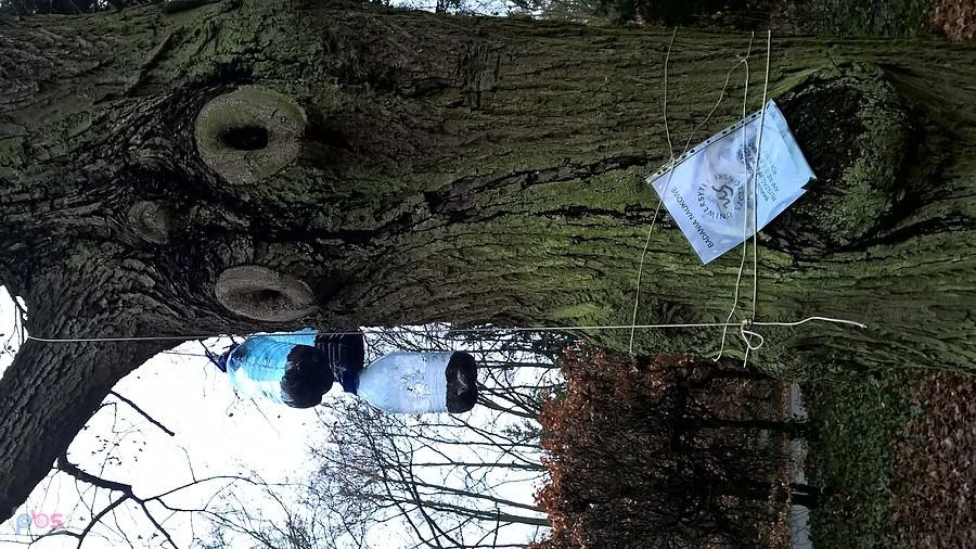 Z cmentarza centralnego - badania naukowe na temat odżywiania ptaków.