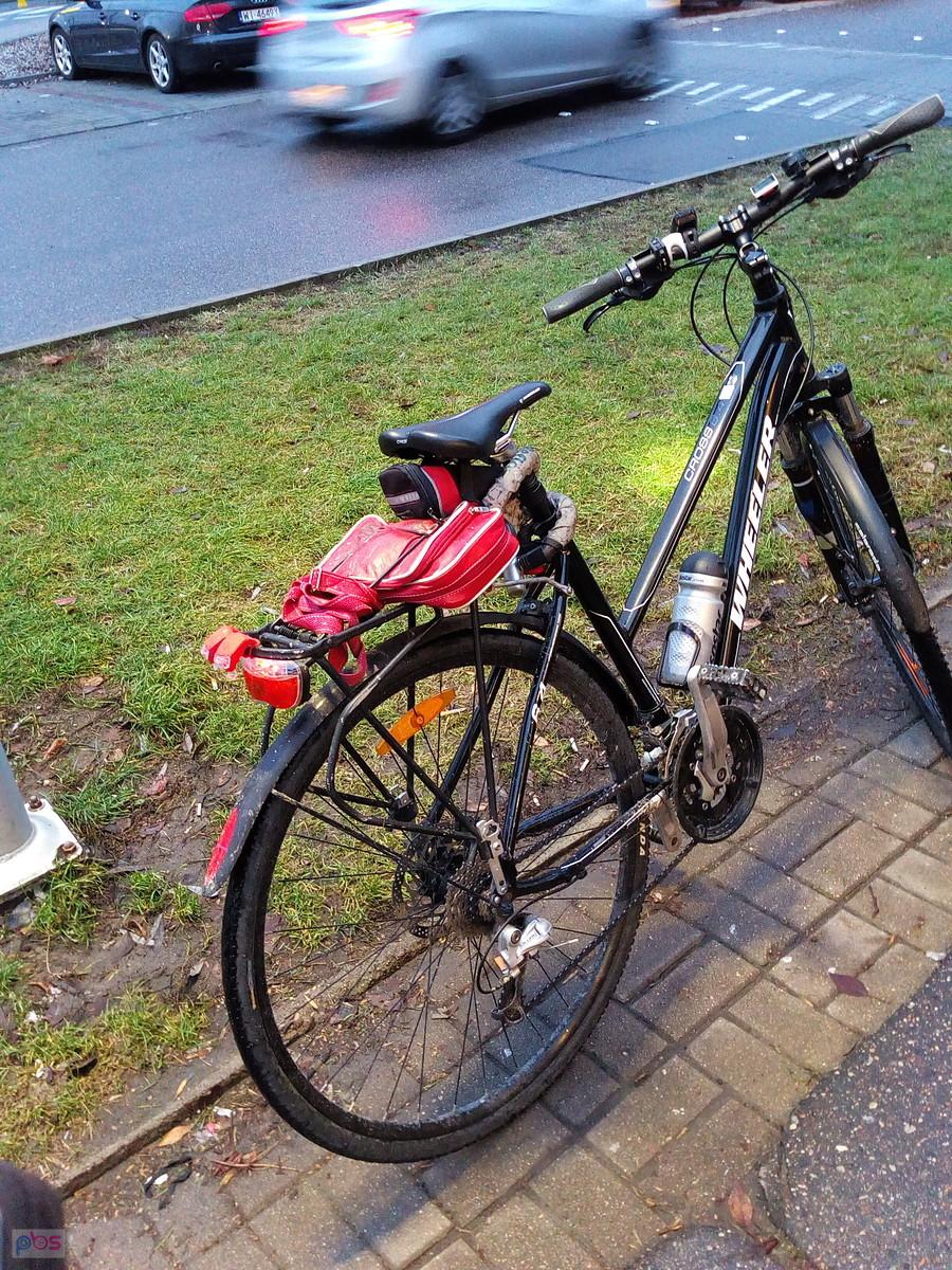 Czarnula na postoju