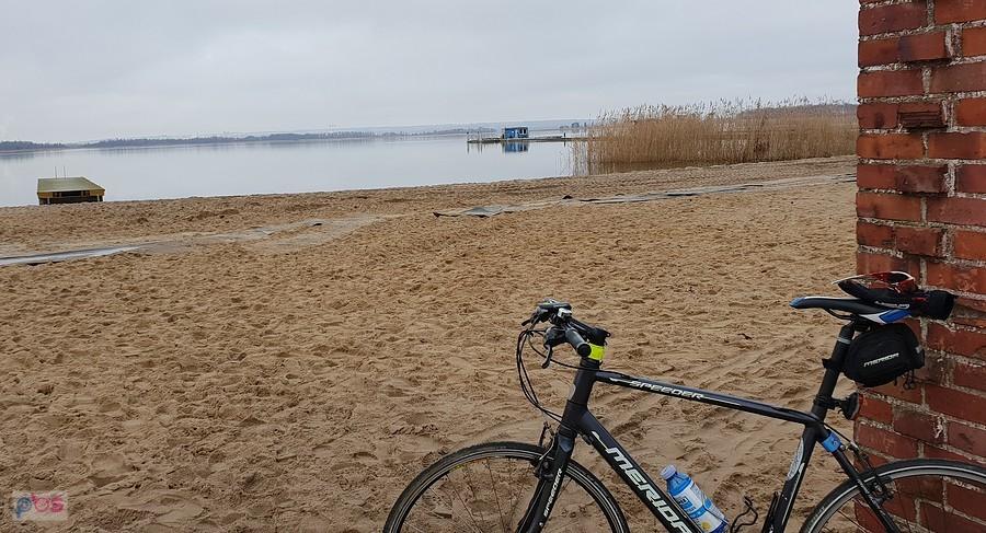 Dąbie w Dąbiu
